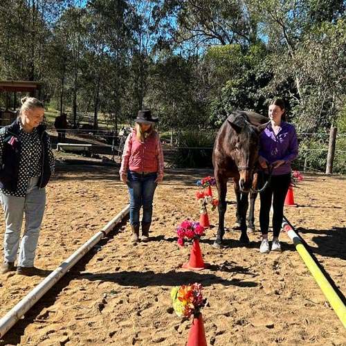 A group working through a hands-on team activity with Christian Horse Adventures